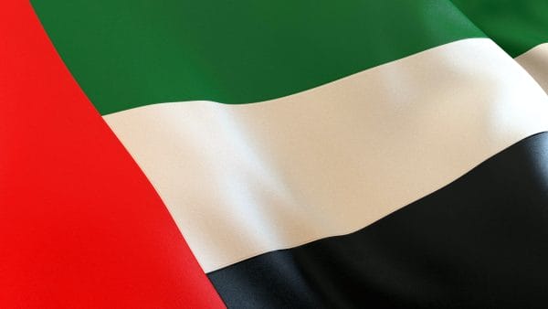 UAE / United Arab Emirates Flag Close-up